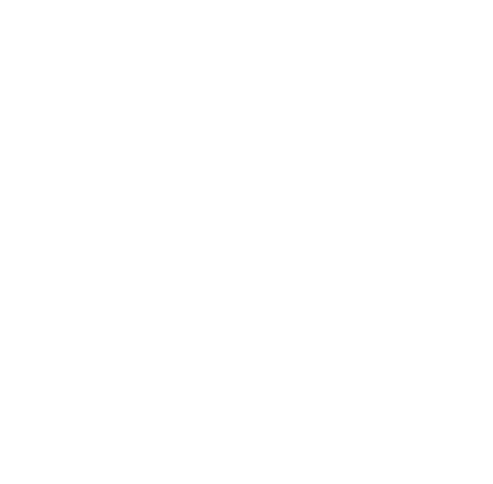 The Porn Dude Logo